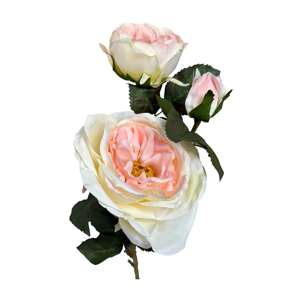 Hill Interiors Pink Charity Rose faux stem with a large blush and cream open bloom, a smaller rosebud and a pink bud, set among green leaves.