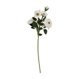 Hill Interiors White Hedge Rose Stem, a faux rose spray with clustered open blooms, tight buds and green foliage along a long stem, on a white background.
