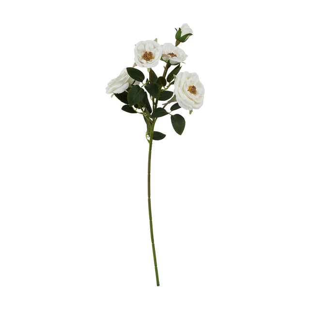 Hill Interiors White Hedge Rose Stem, a faux rose spray with clustered open blooms, tight buds and green foliage along a long stem, on a white background.