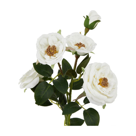 Hill Interiors White Hedge Rose Stem featuring open white blooms with golden centres, a tight bud and green foliage on a plain white background.