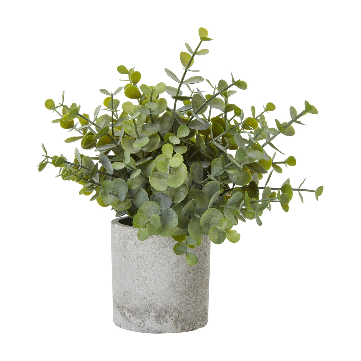 Hill Interiors Small Button Eucalyptus faux plant with rounded green leaves in a grey stone-effect pot, shown on a plain white background.