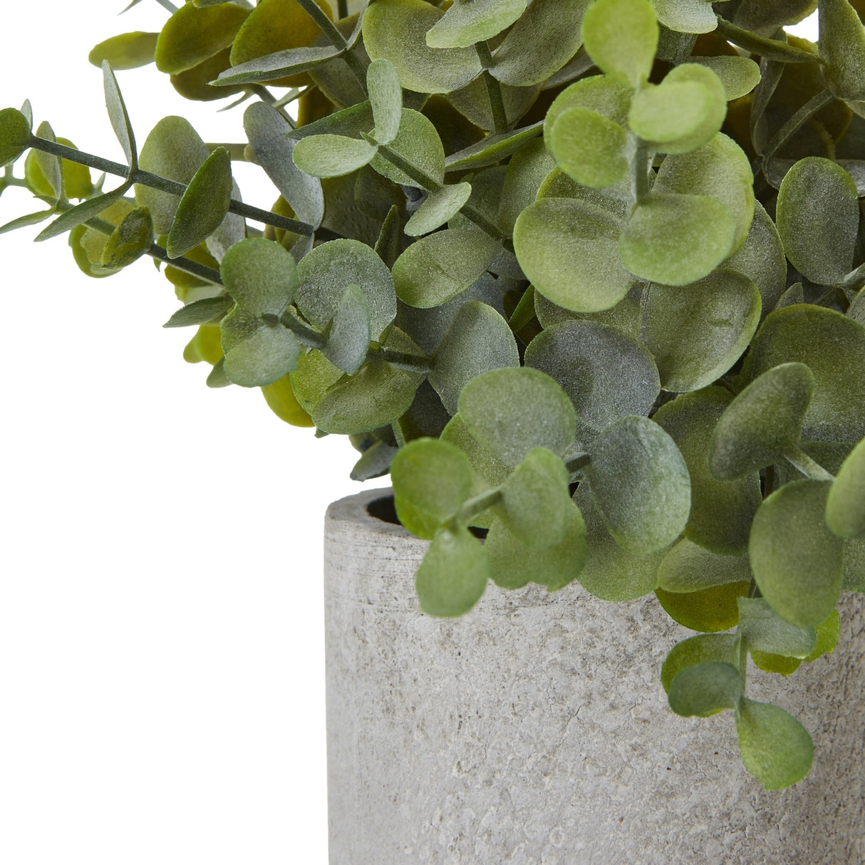 Close-up of Hill Interiors Small Button Eucalyptus faux plant showing rounded green leaves emerging from a textured grey pot against a white background.