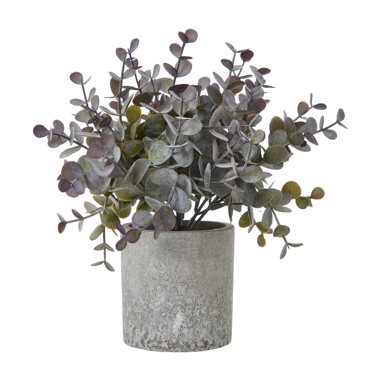 Hill Interiors small eucalyptus cinerea faux plant with rounded muted green leaves on bendy stems, set in a textured grey pot against a white background.