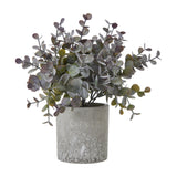 Hill Interiors small eucalyptus cinerea faux plant with rounded muted green leaves on bendy stems, set in a textured grey pot against a white background.