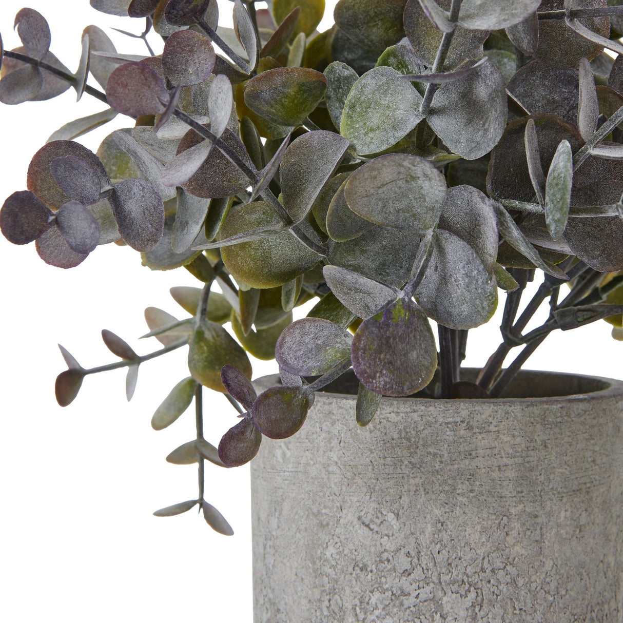 Close-up of the Hill Interiors Small Eucalyptus Cinerea faux plant, showing rounded green and dusky purple-toned leaves rising from a textured grey pot.