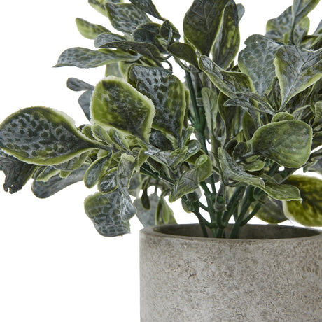 Close-up of the Hill Interiors Small Giana Eucalyptus faux plant, showing frosted green rounded leaves on layered stems rising from a textured grey pot.