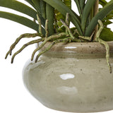 Close-up of the Hill Interiors White Vanda Orchid Plant's speckled beige ceramic pot, showing trailing green aerial roots and waxy leaves at the base.