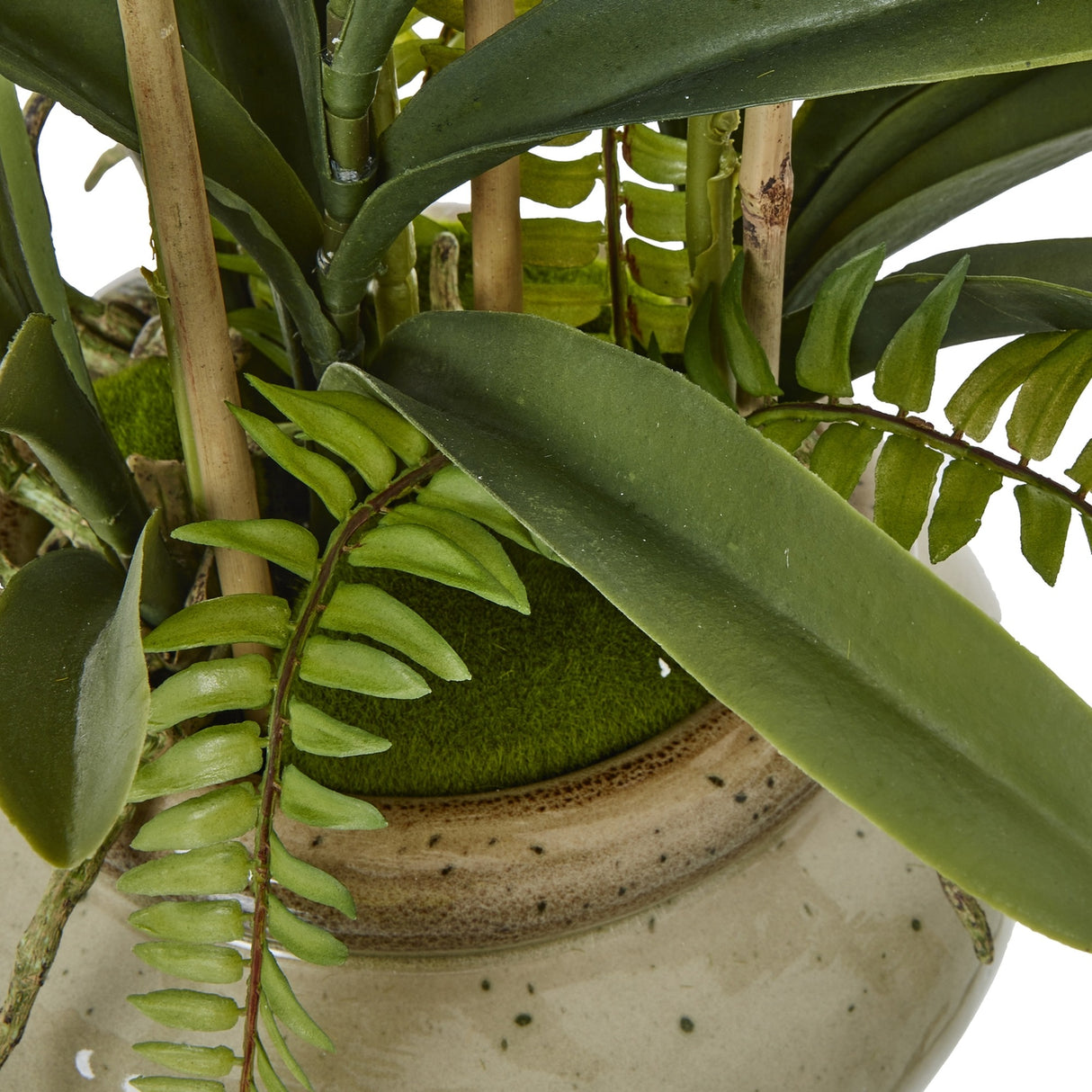 Close-up of Hill Interiors White Vanda Orchid faux plant showing waxy green leaves, fern fronds and moss around the base of a speckled ceramic pot.
