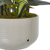 Large White Orchid In Ceramic Pot