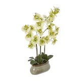 Hill Interiors Large Green Orchid faux plant with pale green phalaenopsis blooms and leaves in a glazed grey ceramic pot on a plain white background.