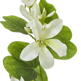 Cream Bauhinia Orchid Spray