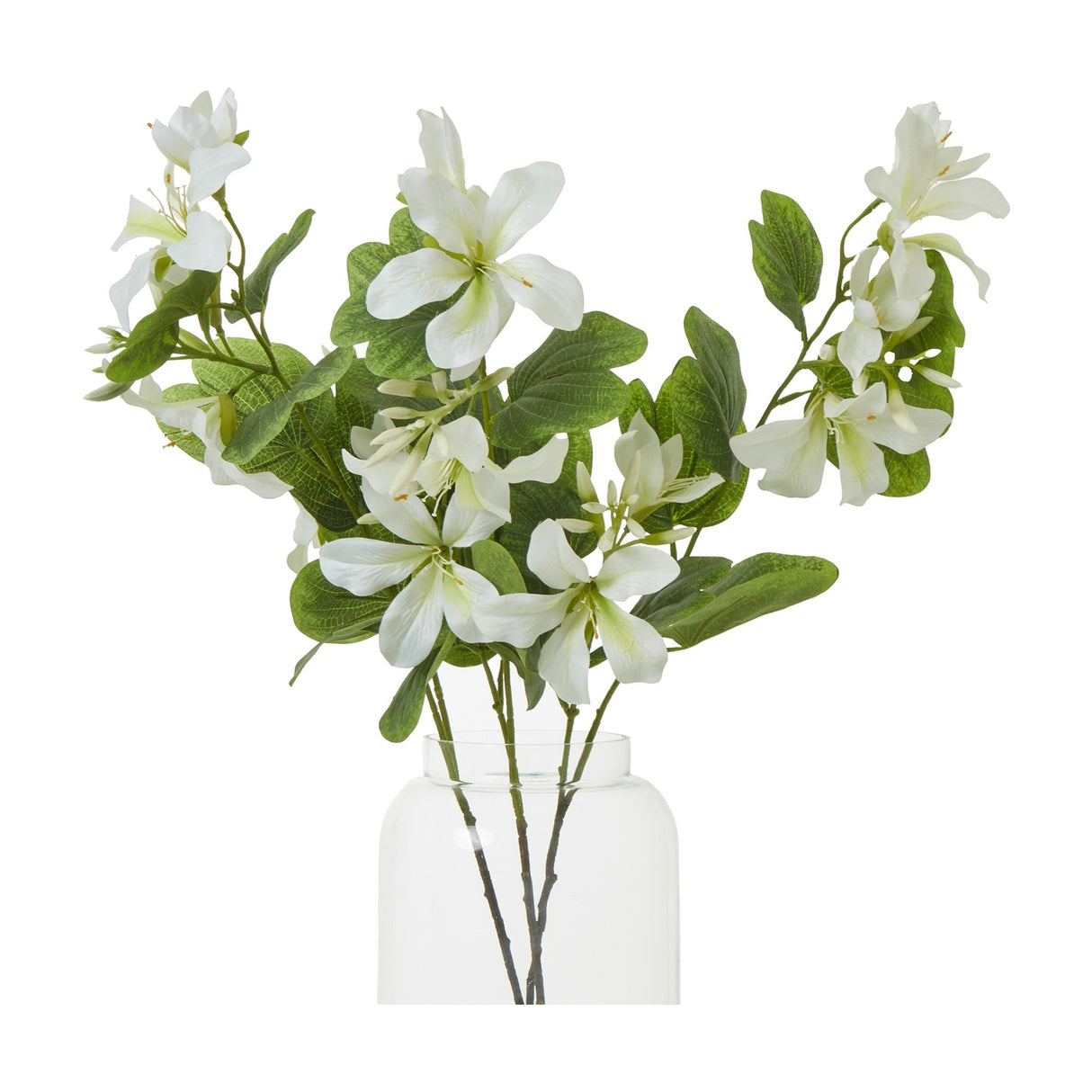 Cream Bauhinia Orchid Spray