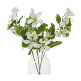 Cream Bauhinia Orchid Spray