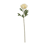Large Buttermilk Double Peony Stem
