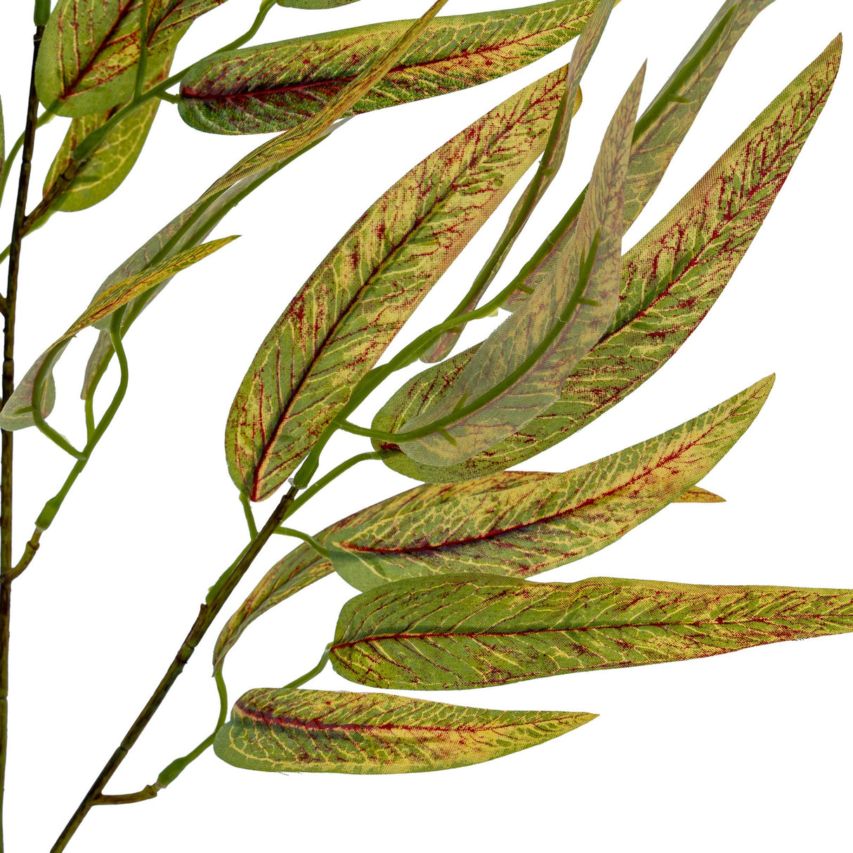 Close-up of Hill Interiors Variegated Long Leaf Eucalyptus Spray showing slender tapered green leaves with red-toned veining on a white background.