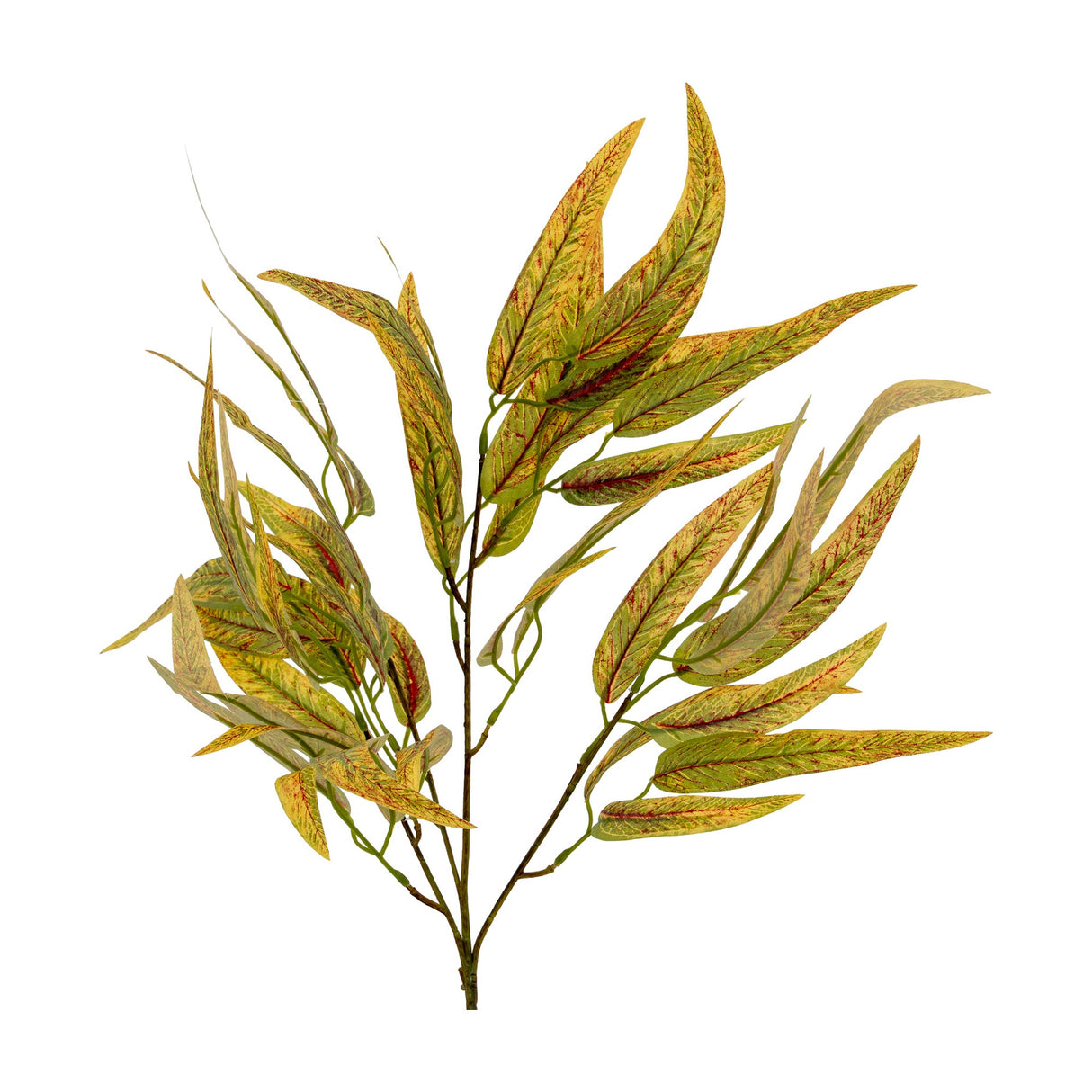 Hill Interiors Variegated Long Leaf Eucalyptus Spray with slender tapered green leaves and red-veined variegation on a wired stem, shown on white.