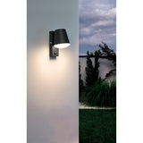 Fralbena Outdoor Wall Light with Motion Sensor - Anthracite