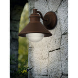 Frilvora Outdoor Wall Light - Brown & Copper