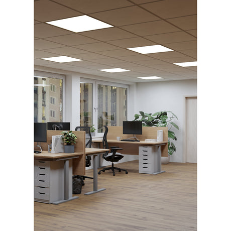 Frinarne LED Panel Light, 59.5 x 59.5cm square white recessed ceiling panels, shown installed in rows across an office suspended ceiling above desks.