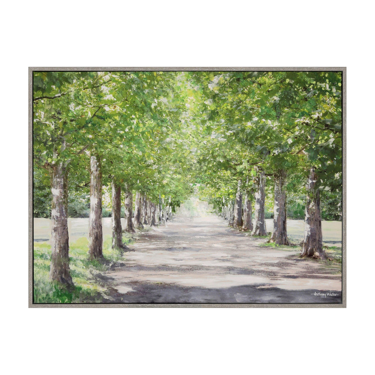 Avenue of Trees Framed Canvas – Green