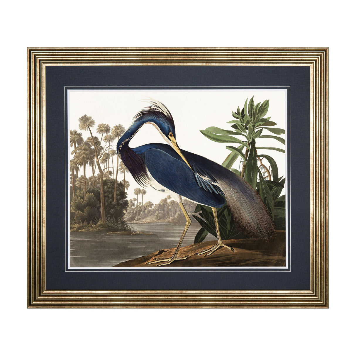 Louisiana Heron Framed Art – Blue