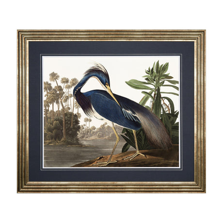 Louisiana Heron Framed Art – Blue