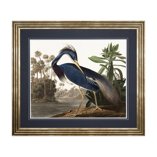 Louisiana Heron Framed Art – Blue