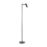 Dedicated Reader Floor Lamp