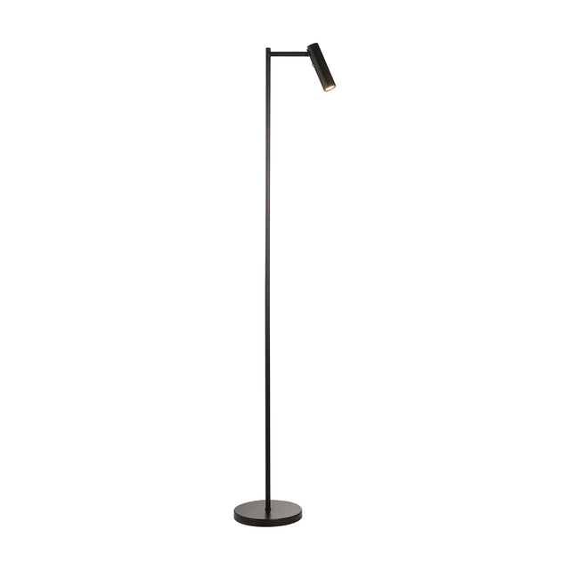 Dedicated Reader Floor Lamp