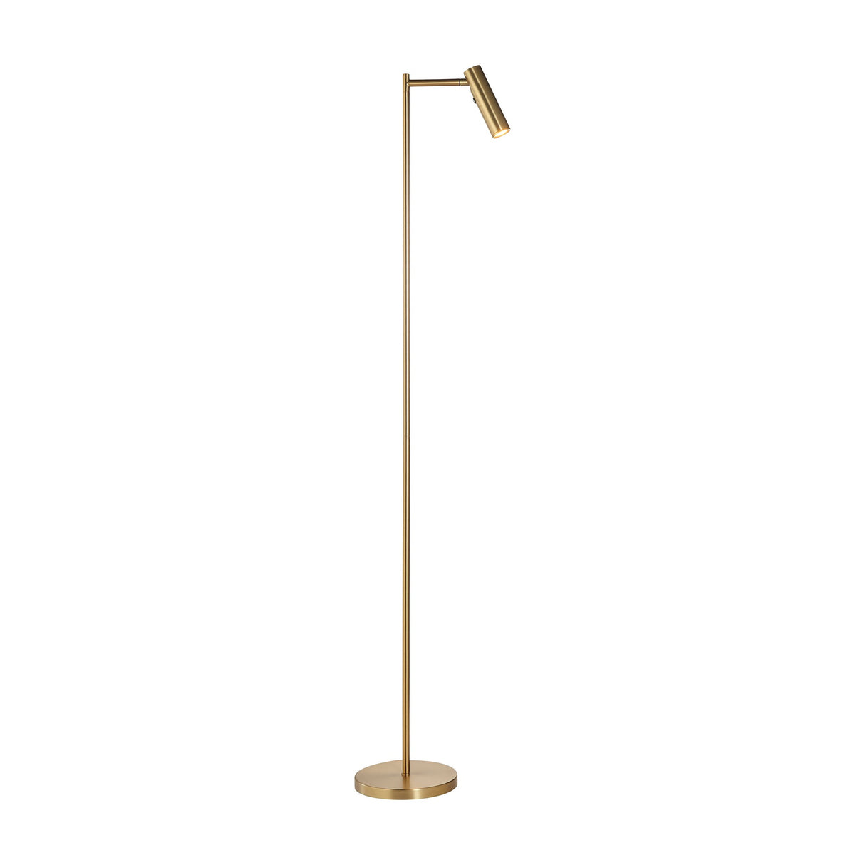 Dedicated Reader Floor Lamp