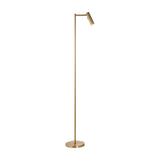Dedicated Reader Floor Lamp