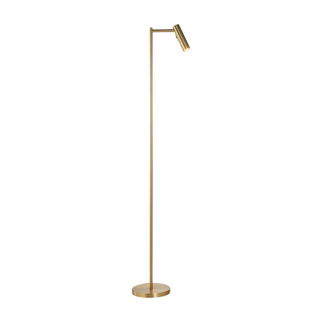 Dedicated Reader Floor Lamp