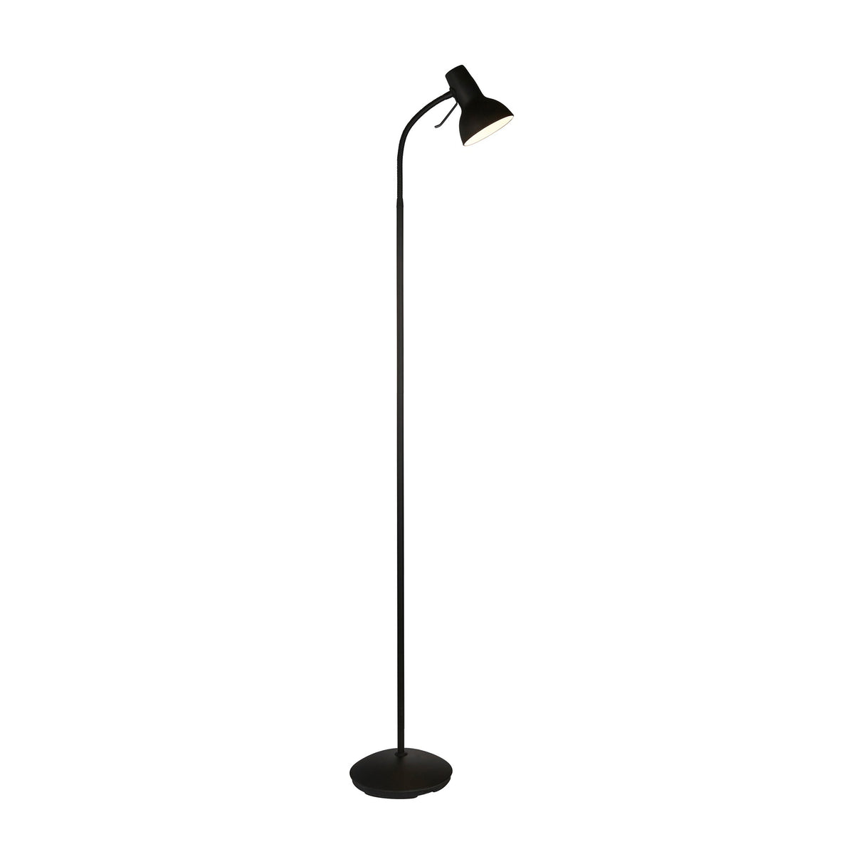 Amalfi Floor Lamp with Adjustable Neck