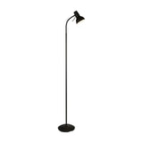 Amalfi Floor Lamp with Adjustable Neck