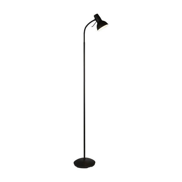 Amalfi Floor Lamp with Adjustable Neck