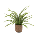 Artificial Fern Plant in Woven Basket – Green