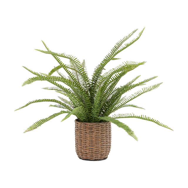 Artificial Fern Plant in Woven Basket – Green