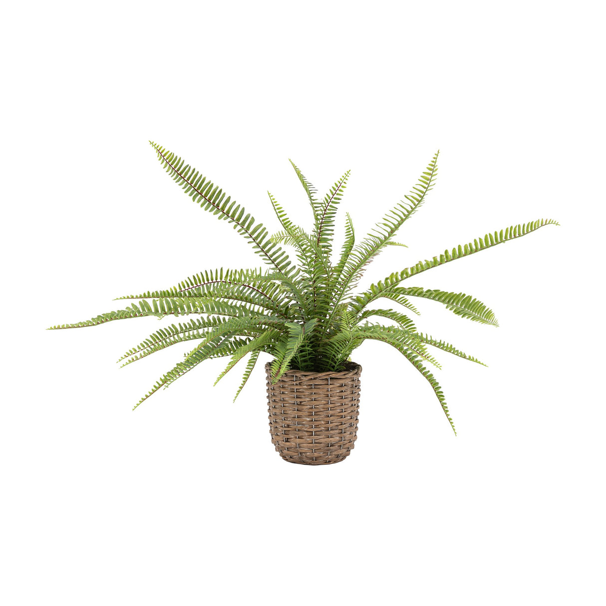Artificial Fern Plant in Woven Basket – Green