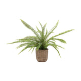 Artificial Fern Plant in Woven Basket – Green