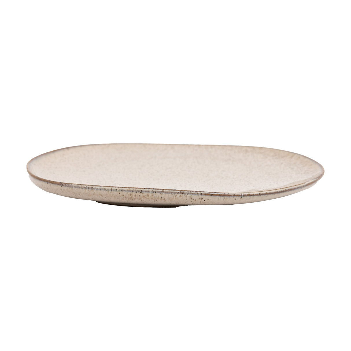 Speckle Glaze Dinner Plate Set of 4 – Oatmeal
