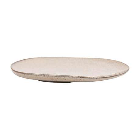 Speckle Glaze Dinner Plate Set of 4 – Oatmeal