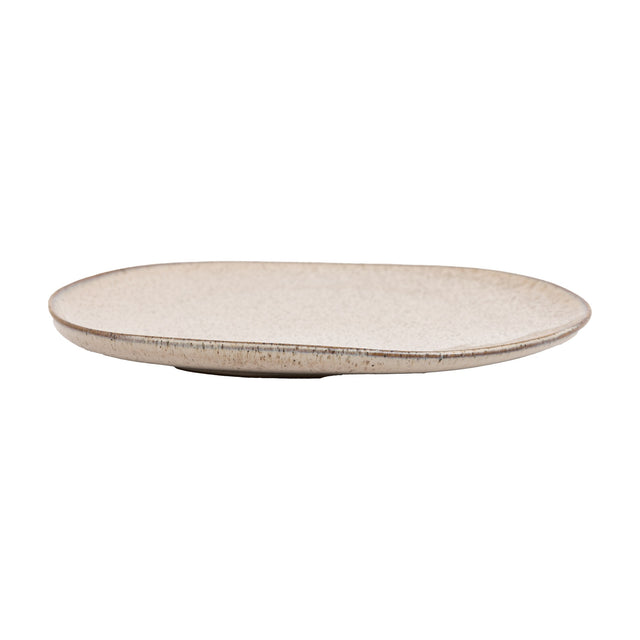 Speckle Glaze Dinner Plate Set of 4 – Oatmeal