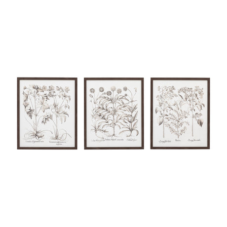 Evergreen Botanical Framed Art Set of 3 – Sepia
