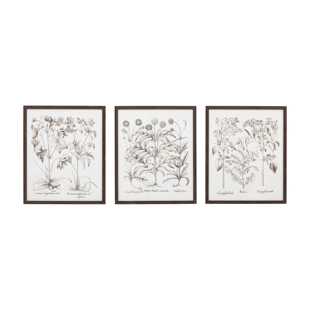 Evergreen Botanical Framed Art Set of 3 – Sepia