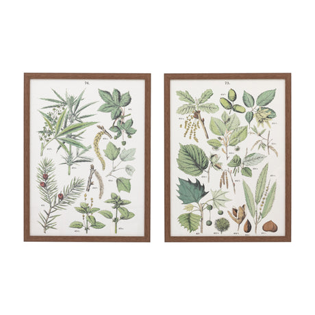 Foliage Study Framed Botanical Prints – Green