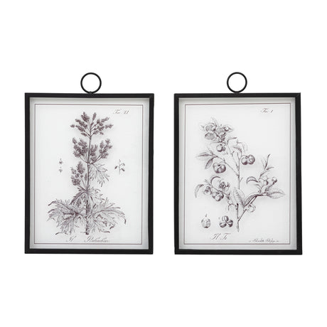 Petiole Botanical Framed Art Set of 2 – Sepia