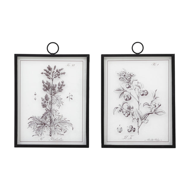 Petiole Botanical Framed Art Set of 2 – Sepia