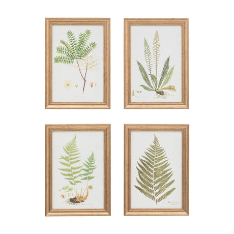 Assorted Ferns Framed Botanical Art Set of 4 – Green