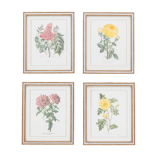Floral Quartet Botanical Framed Art – Green – Set of 4