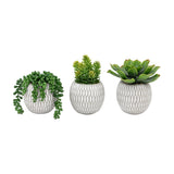Artificial Succulents in Patterned Pots Set of 3 – Green